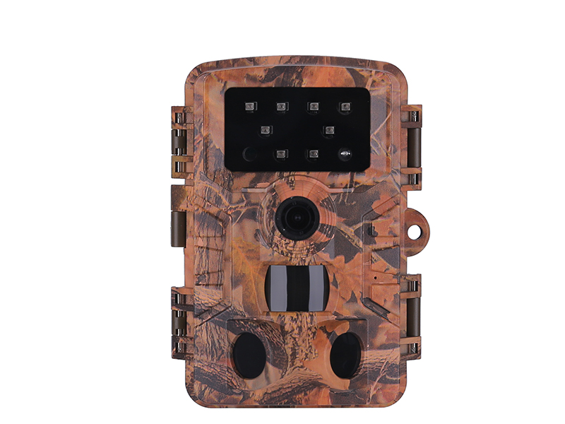 Exploring the Benefits of Trail Cameras for Hunting Enthusiasts