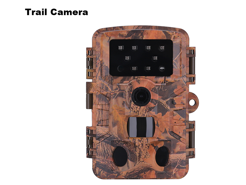 Exploring the Benefits of Trail Cameras for Hunting Enthusiasts